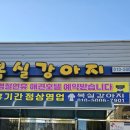 발리애견호텔 이미지