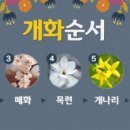 소3-3 이미지