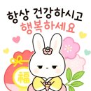 ● 삼성 드럼 세탁기 이미지