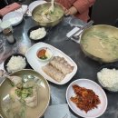 2088 | 산척동 맛집 정이가칼국수 진한국물 닭곰탕 삼계곰탕 수육 후기
