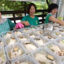 논현1동-9 이미지