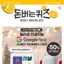 네스트워크
