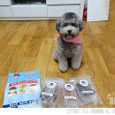 개들의 만찬 이미지