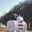 유기농체험교육센터 방문센터 | [충주] 충주 유기농 체험 센터 - 동물모양 숙소 가성비 최고!!