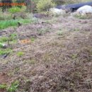 내곡5리 이미지