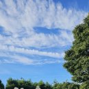 명륜로6길8 이미지