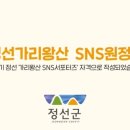 와와정선 2층 투어버스 이미지