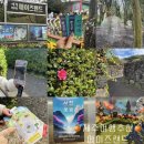 돌미로 | 제주도 여행 추천 런닝맨에도 나온 세계 최대 미로 메이즈랜드 (서천꽃밭 후기)