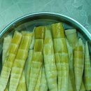 시누 Daum카페