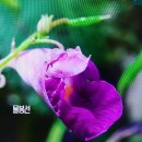 성령상사 이미지