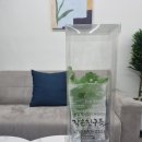 액티부키 이미지