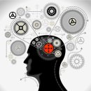 코칭, 뇌과학을 만나다 이미지