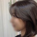 커티즘바이 이미지