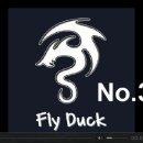 Duck Fly Daum카페