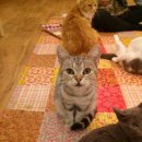 와써PC방 이미지