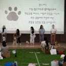 위드댕댕 이미지