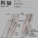 열결혈LU7 열결(列缺 2개 혈) : 肺經之絡穴, 別走手陽明大腸經, 四總穴, 八脈交會穴, 이미지