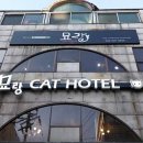 고양이호텔 묘랑묘랑 이미지