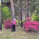 부여(백제)-06 이미지