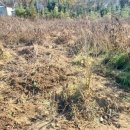 소모아농장 이미지