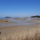 용두보건진료소 티스토리