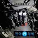 코일 이미지