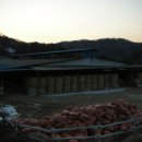 대성목장2 이미지