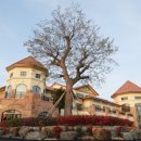 솔라고CC 라고 이미지