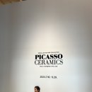 피카소도예 이미지