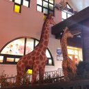 대자연유치원 이미지