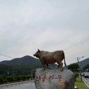 대신프라자 | [내돈내산] 문경축산농협 약돌한우프라자 방문 후기