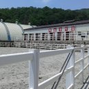 박실승마체험장