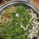 울산 태화강국가정원 맛집 ‘샤브 칼국수 퐁당퐁당 태화점‘