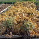 은혜농원 이미지