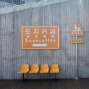 [광주 매월동] 주차 편한 대형 베이커리 카페 &#39;도지커피&#39; 내돈내산 후기
