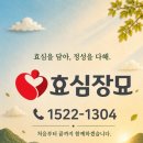 효심장묘 - 금산군 은행나무길 45 | 효심장묘