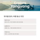 거북애견 | 양양 애견동반 맛집카페 : 동반가능범위,분위기,추천메뉴까지 총정리