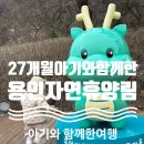 가마골 | 27개월 아기와 함께한 가족여행 용인자연휴양림 가마골2 후기🛖