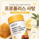 사탕 - 강동구 천호대로177길 16 | 엄마 목 칼칼할 때 직빵, 프로폴리스 사탕 내돈내산 후기