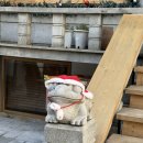 맘모스타워 | 맘모스빵 “밀빛” 포장방문 후기