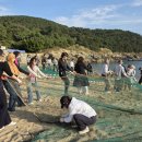 군헌어촌·체험휴양마을 이미지