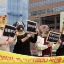 개랑, 마리 이미지