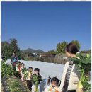 도담아이어린이집 이미지