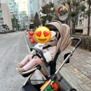 브레드4가 | 오이스터4 쇼트브레드 샴페인색상 내돈내산 후기