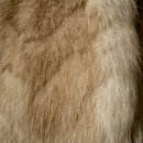 백의민족 이미지