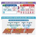 고려인력개발 이미지