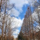 한경대학교(기숙사 나래관) 이미지