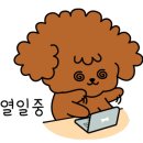 수원-0874 네이버블로그