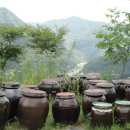 오렌지 꽃향기는 바람에 날리고 이미지