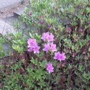 풍금소리 이미지